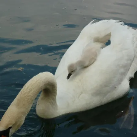 Au Petit Canal De Colmar 2 Apartamento