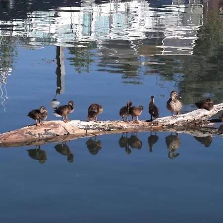 Apartamento Au Petit Canal De Colmar 2