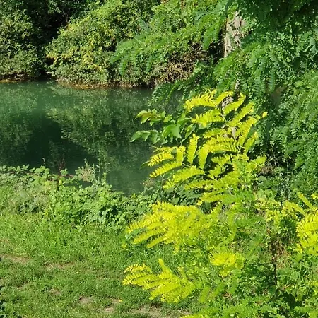 Au Petit Canal De Colmar 2 Apartamento